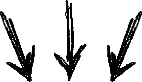 5e32d6d8db2f9_arrow-blue-1