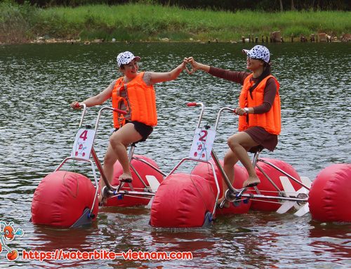 Bò Cạp Vàng – 21.04.2024