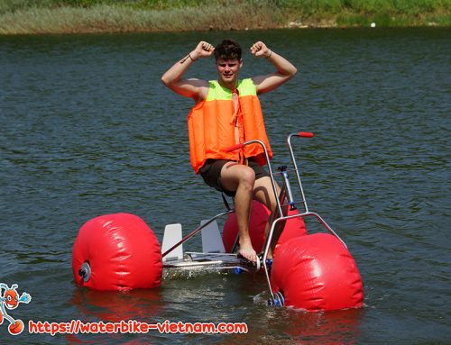 Bò Cạp Vàng – 18.04.2024